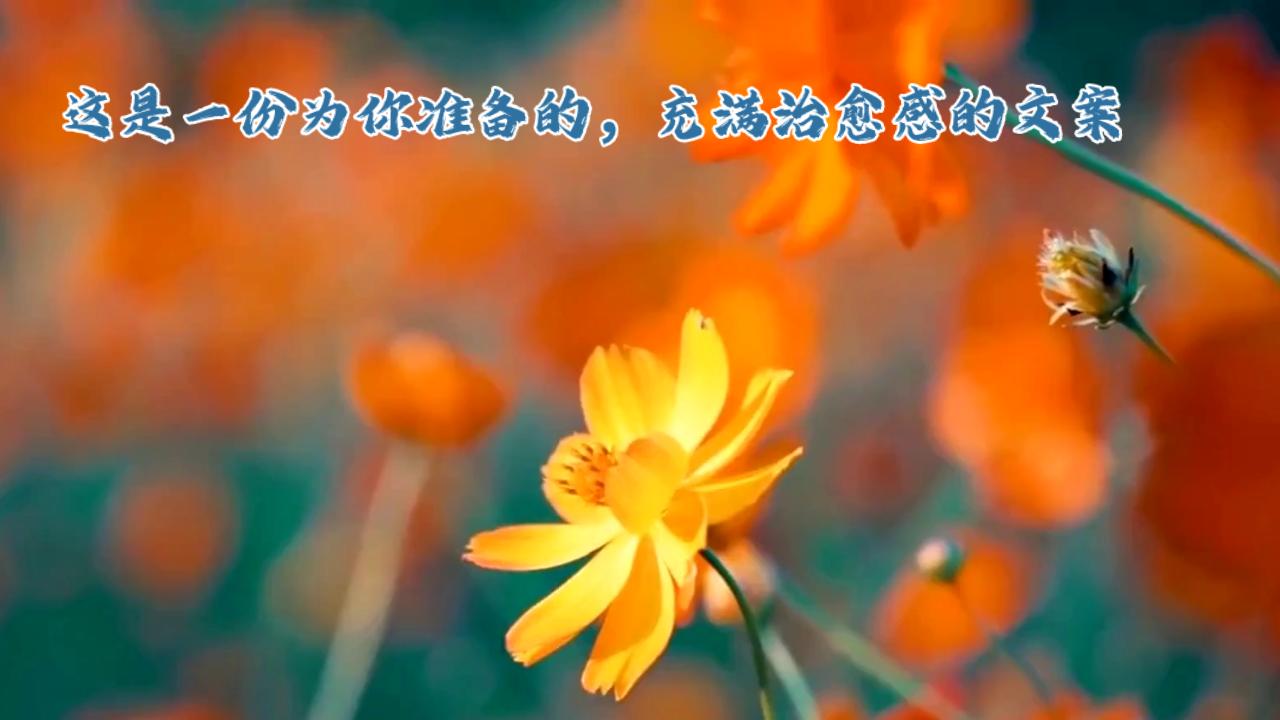 ＃前行路上，好好照顾自己。＃