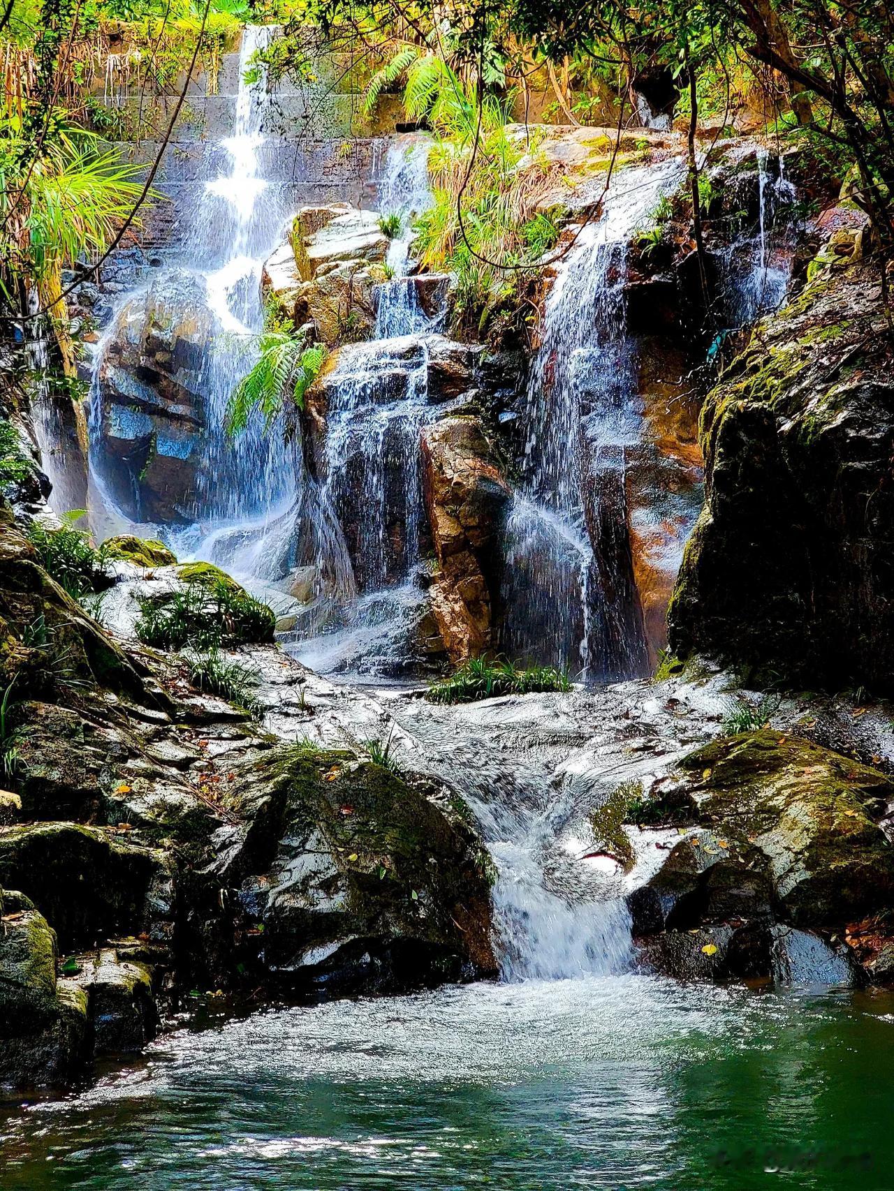 #记录我的9月生活#周末登山乐之峡谷风光
绿荫如盖掩天光，峡谷幽深碧水扬。
翠树