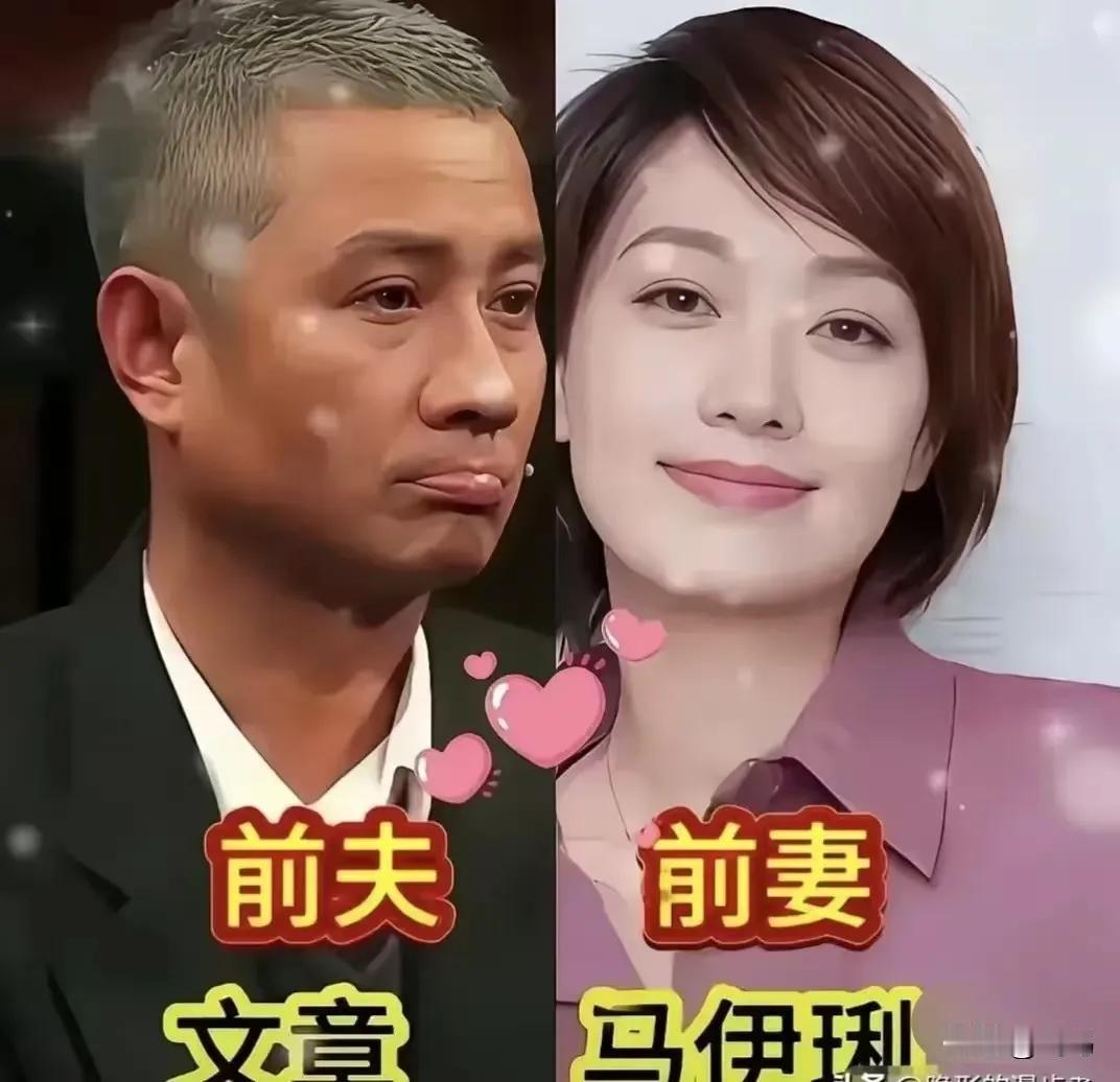 马伊琍的前夫。
丛珊的前夫。
李湘的前夫。
陈晓旭的前夫。
李婷的前夫。
张歆艺