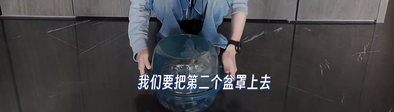 养猫的人看不得虐猫 拿猫来耍节目这样的人应该4️⃣去  路人这么干就算了 一个明