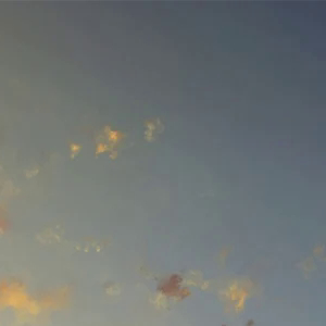 阳光信用🌳每日一善🌳熊猫守护者青春正能量，岁月蹉跎，不去珍惜，它只会荒废，一