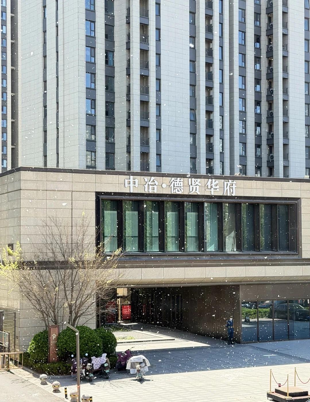 石家庄真奇特啊，4月飞雪❄️
柳絮飘得让人醉[笑哭]
请用你现有的文化描述一下此