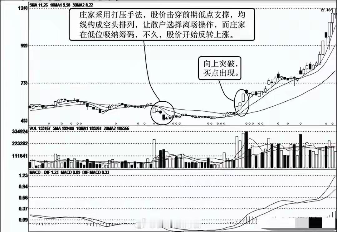 颜如晶半年瘦了60斤上海28岁天才股神直言：如果散户长期捂股不斩仓，庄家会怎么办