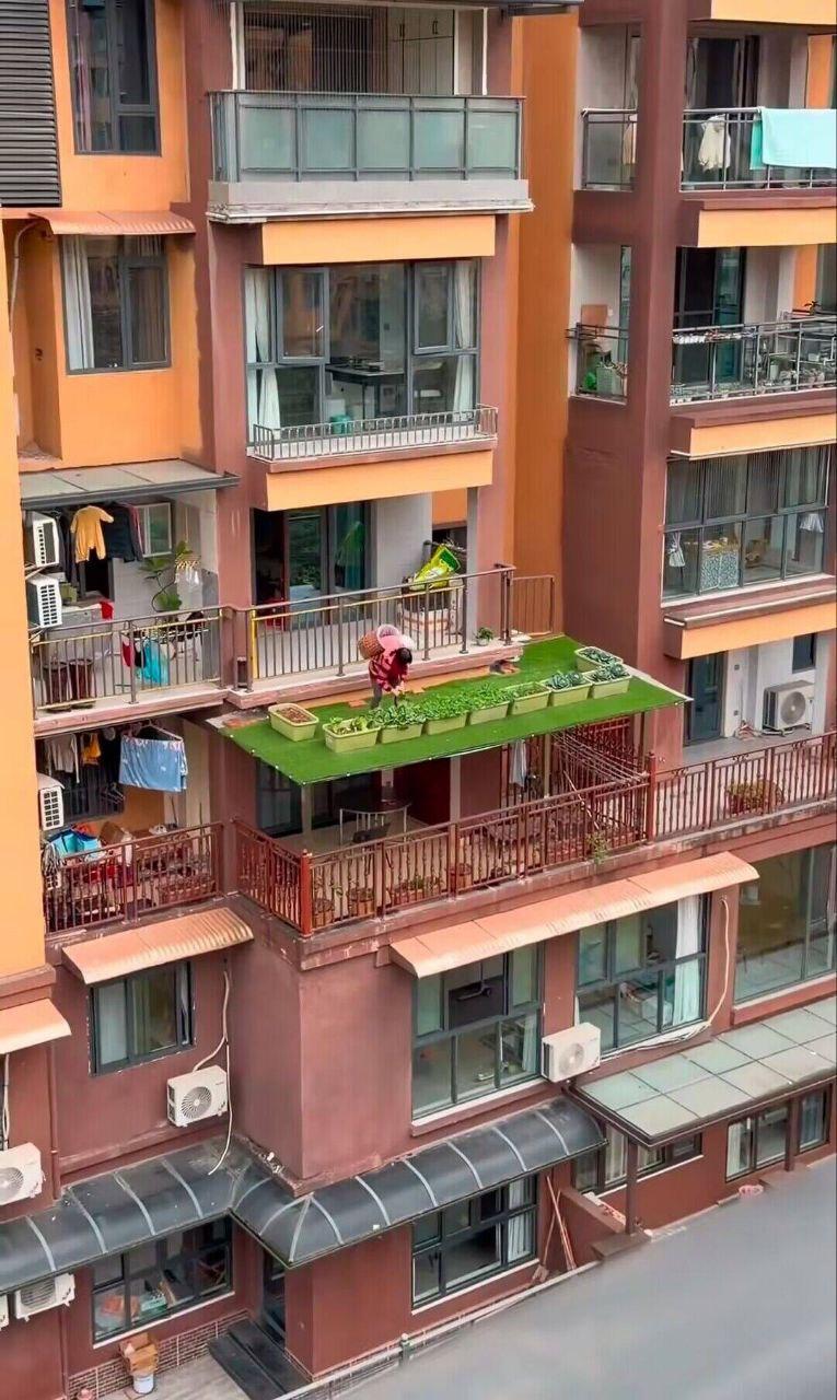 总是有些人，爱占他人便宜，可是又不明白为啥有时候自己会遇到倒霉的事，到那时他们只