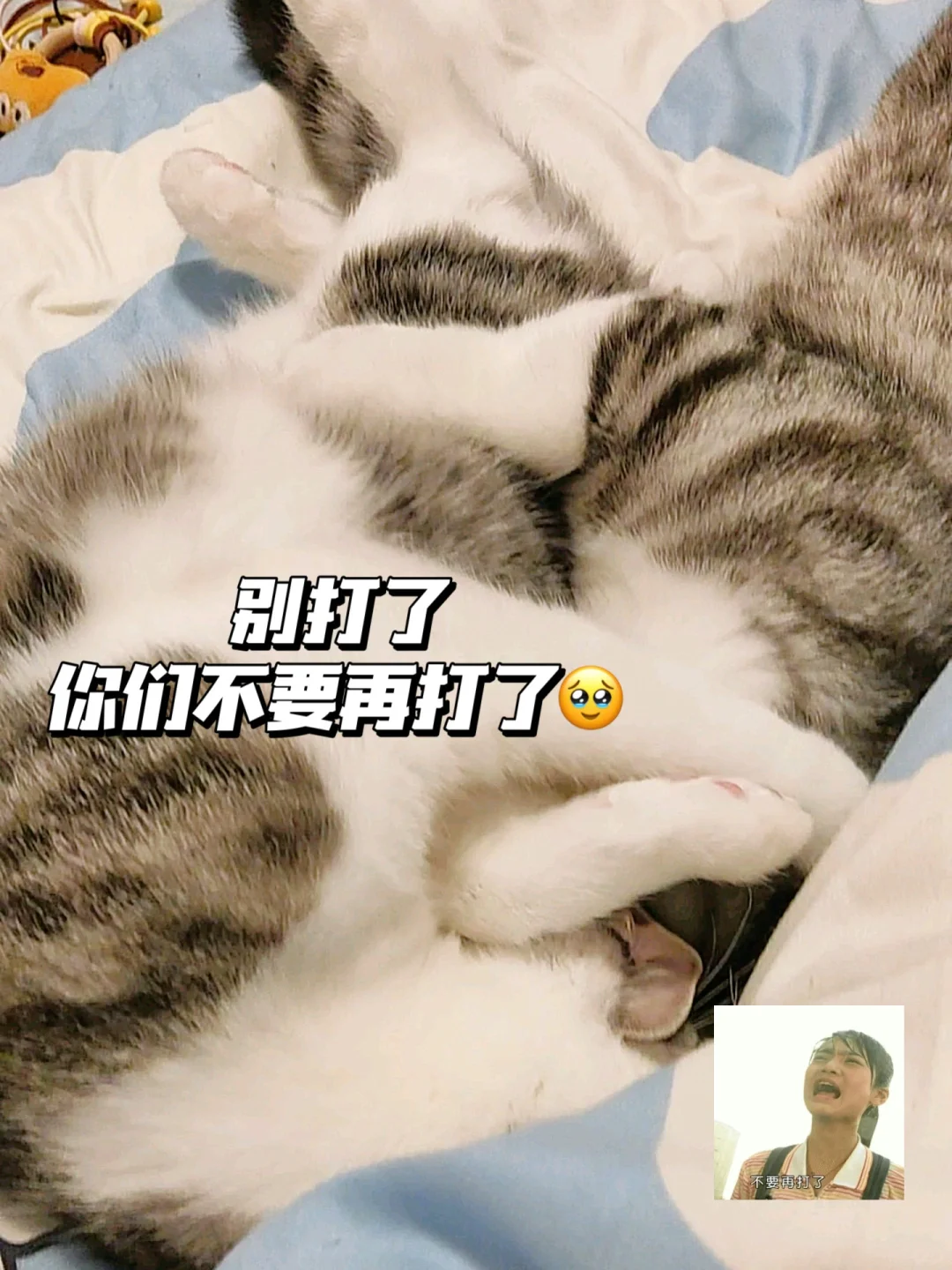别打了，你们不要再打了