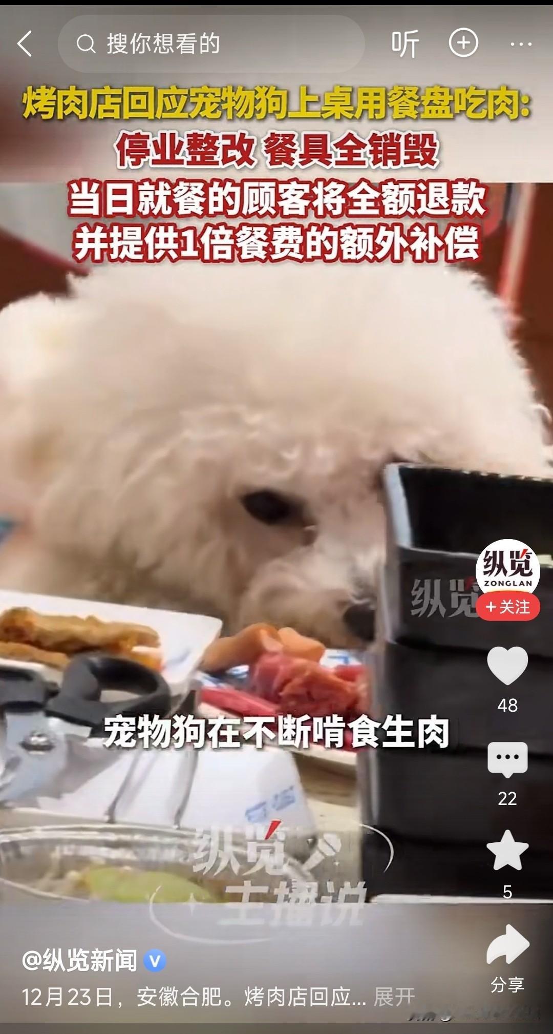 谁愿意和狗同室用餐还是用人的餐具？爱狗人士可以在家你一口它一口，同喝一盆水都没问