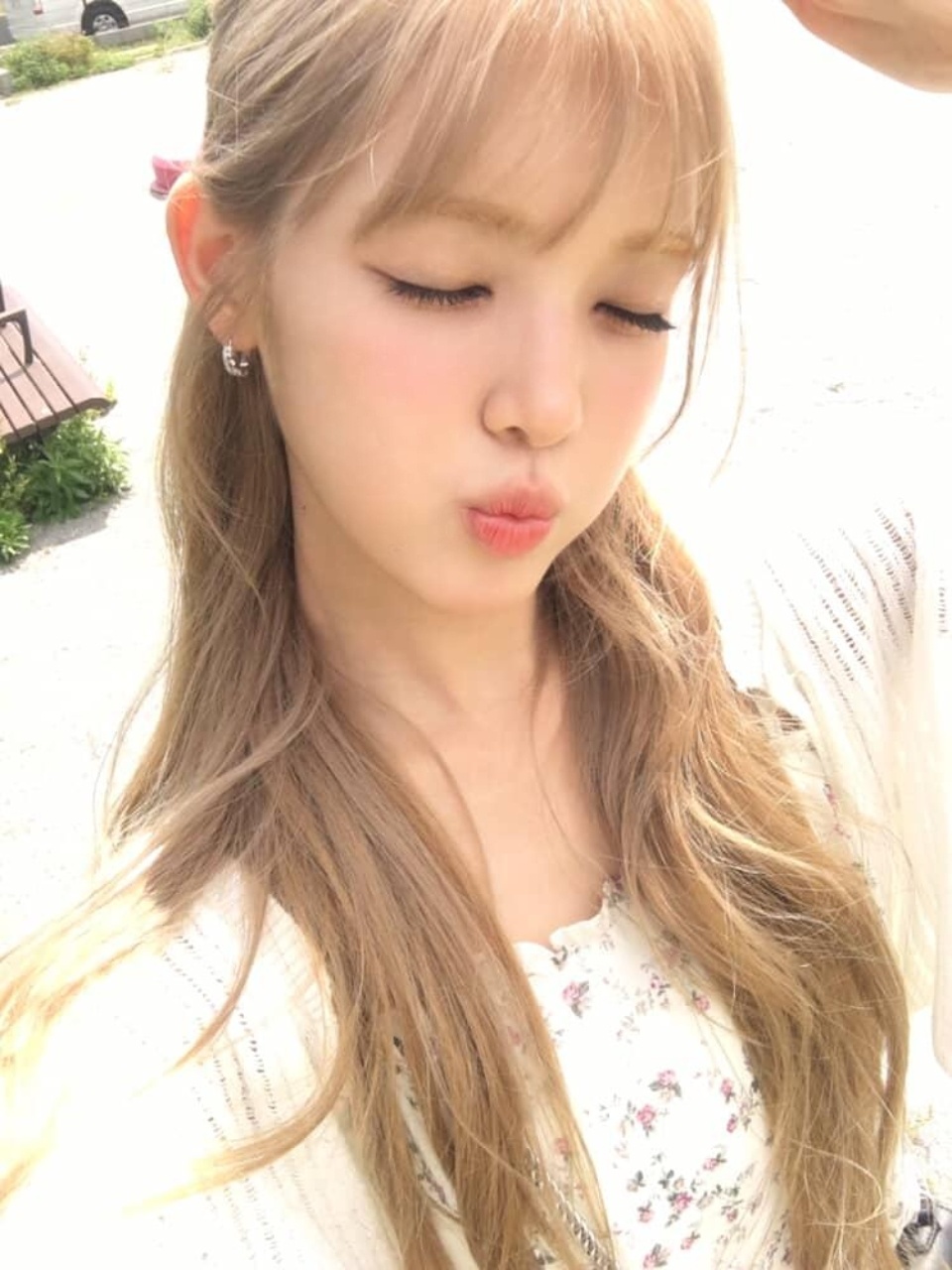 260513 wvs🌱yuha's wvs