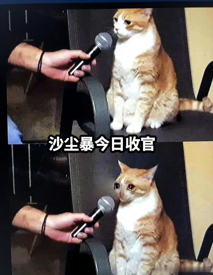 沙尘暴戒断反应《沙尘暴》今天收官啦！追了这么久，剧里那些复杂的案子和鲜活的人物，