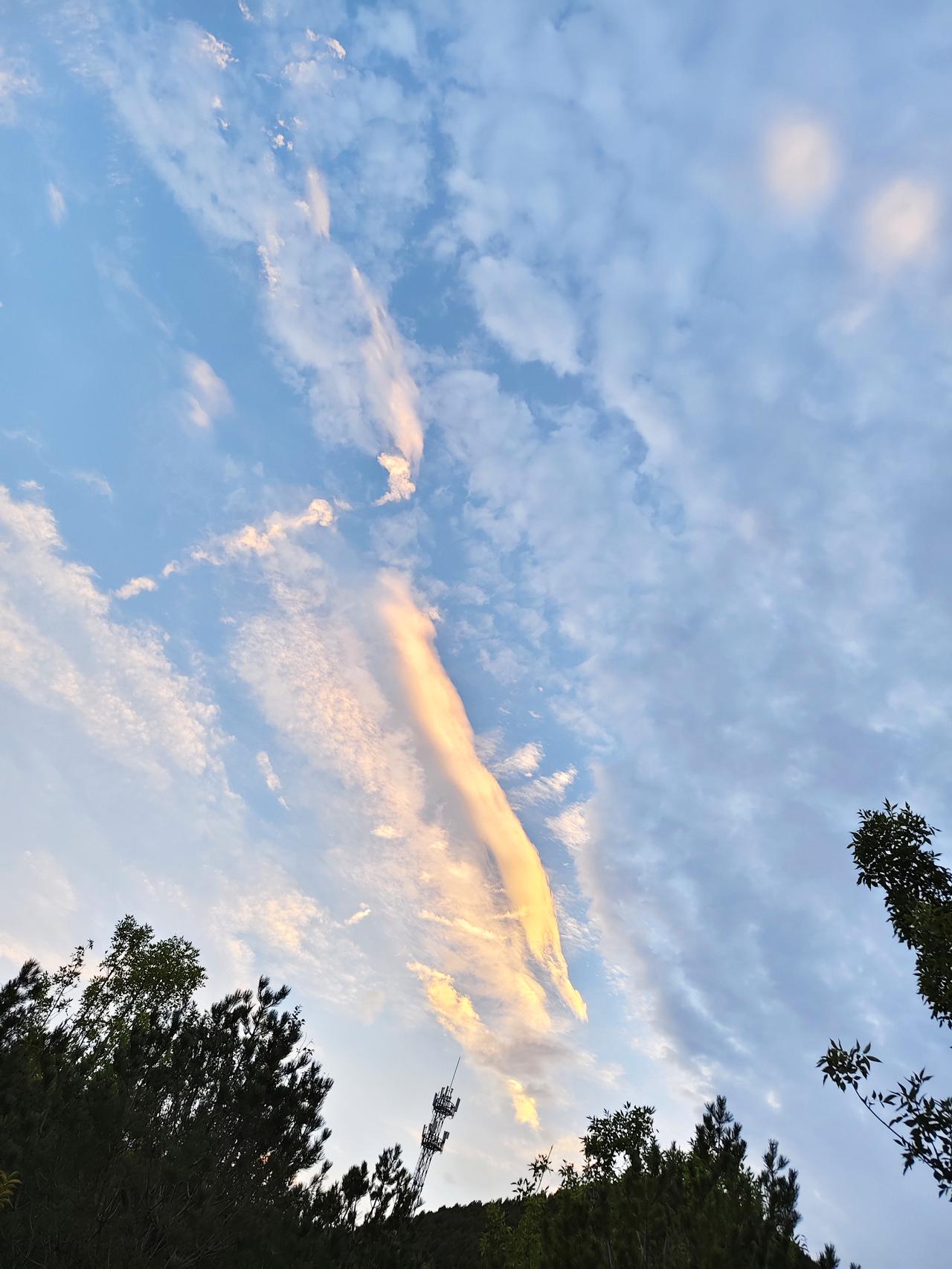 有人借钱总不还怎么办？傍晚散步的时候，又想起了这件糟心的事——去年，单位一位年轻