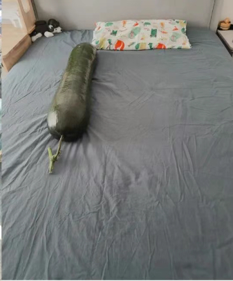 【爽！#抱冬瓜睡觉真的可以降温# 医生称有些人不能抱冬瓜睡觉】7月以来，我国出现