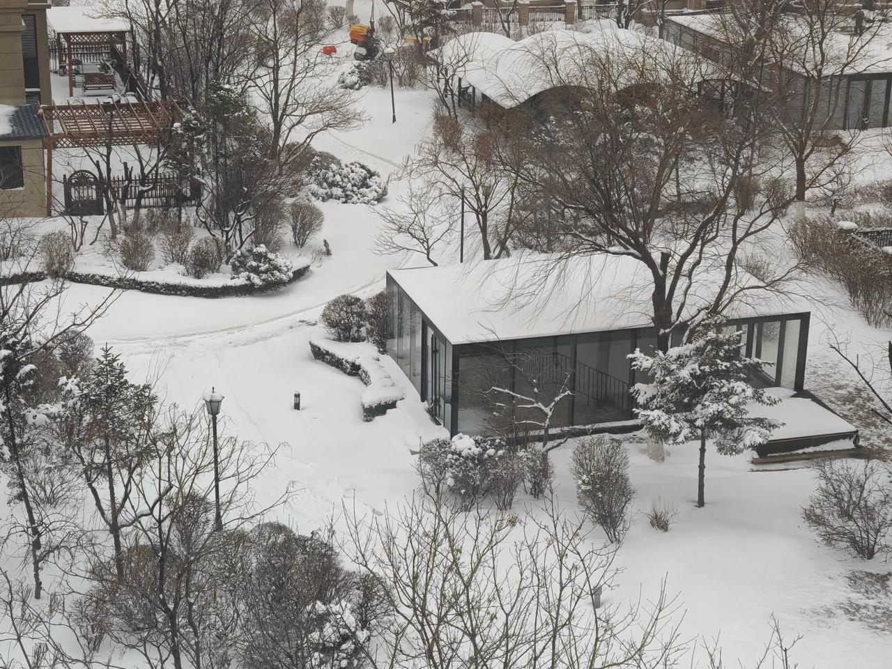 都说沈阳今冬的雪太少，三九四九时节都不便在冰上走，有违一提东北的冬天印象中那冰天