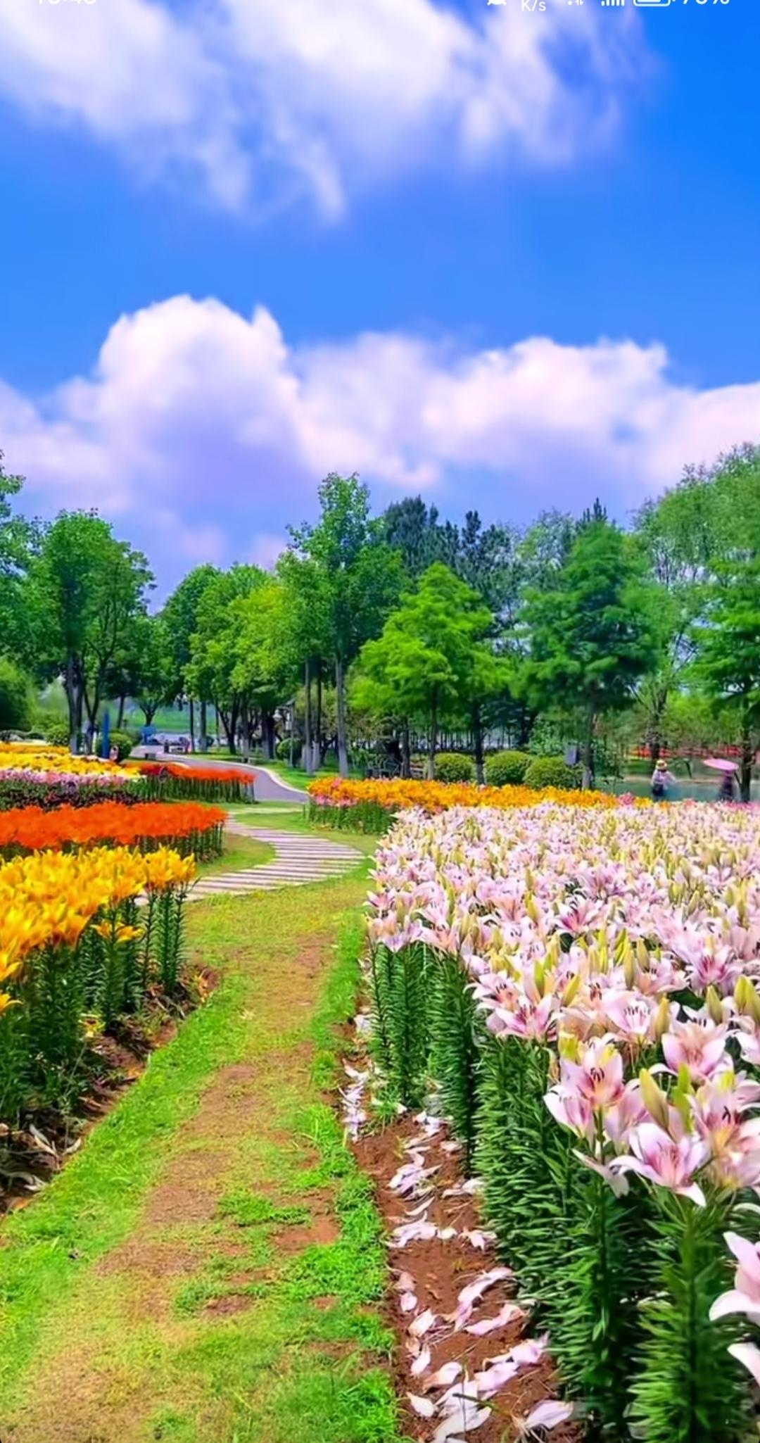 有什么行业可以低成本跳槽？想低成本跳槽，自媒体和电商行业值得考虑。自媒体基本零成