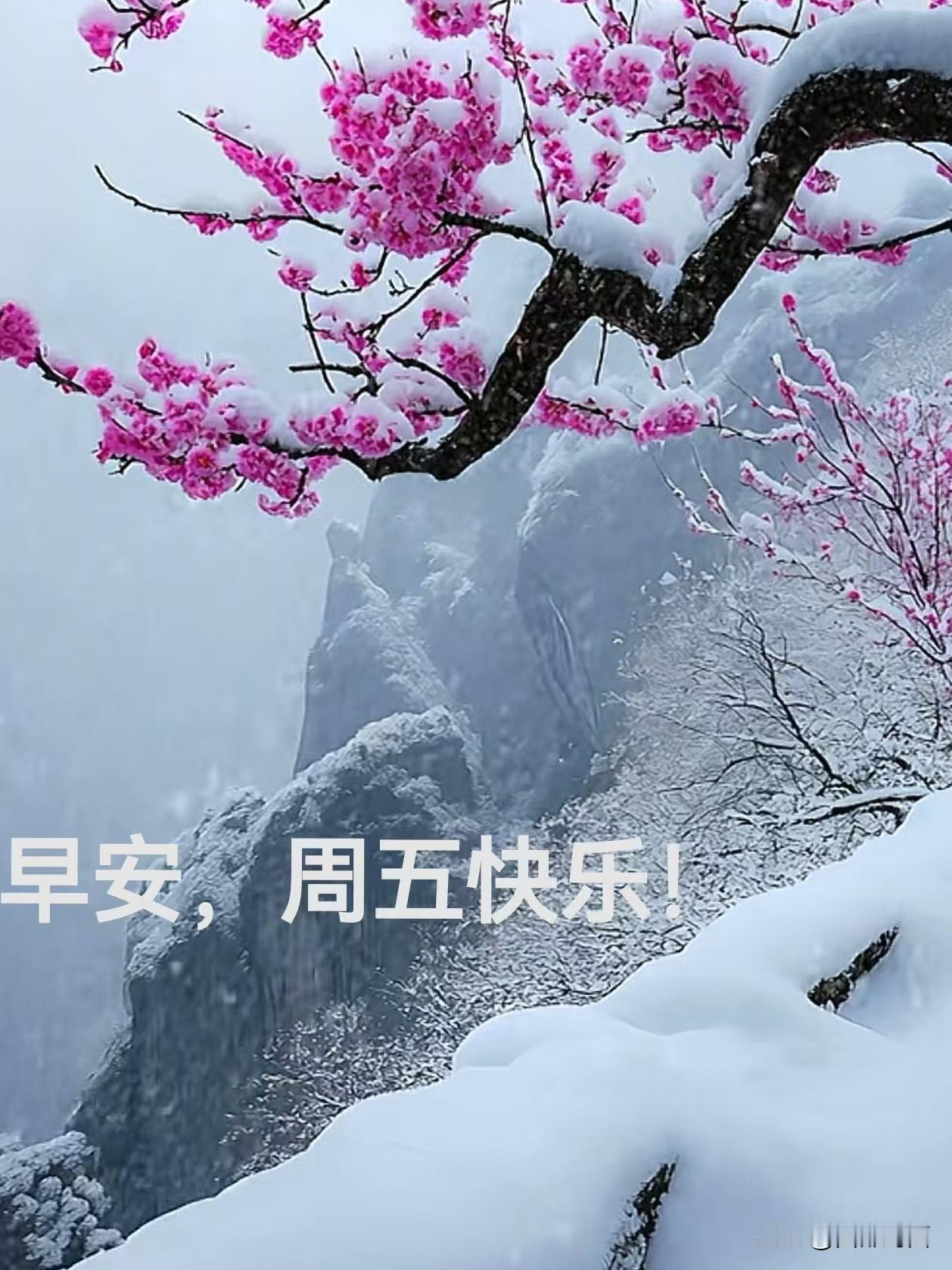 [玫瑰][合十]让情和缘，天长地久。让祝福，默默相守。让牵挂，时时在心。让友情，