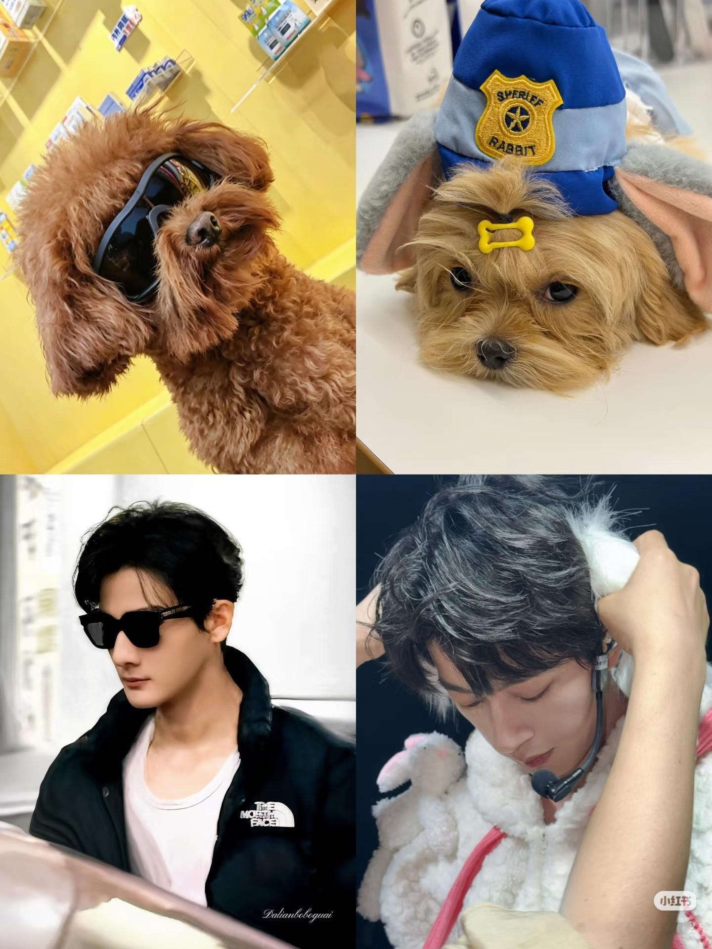 酷😎哥萌妹 