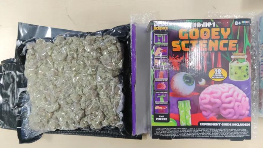 海关查获10盒“吓人”的玩具：近日，深圳邮局海关关员在对转运货物开展监管时，发现