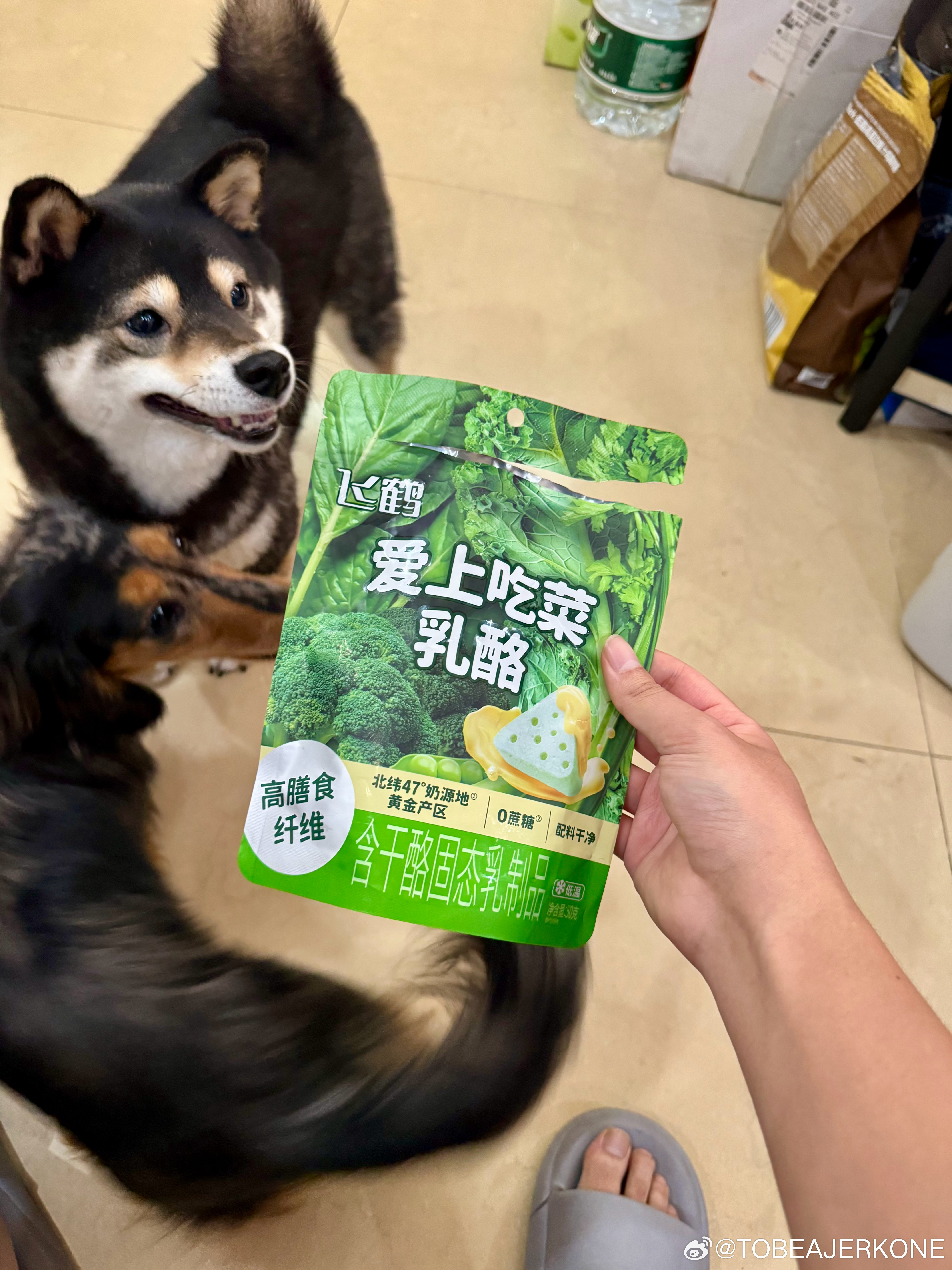 家里有小狗的可以试试这款乳酪，已经是我家二郎神和桂味精选零食的 top1 级别了