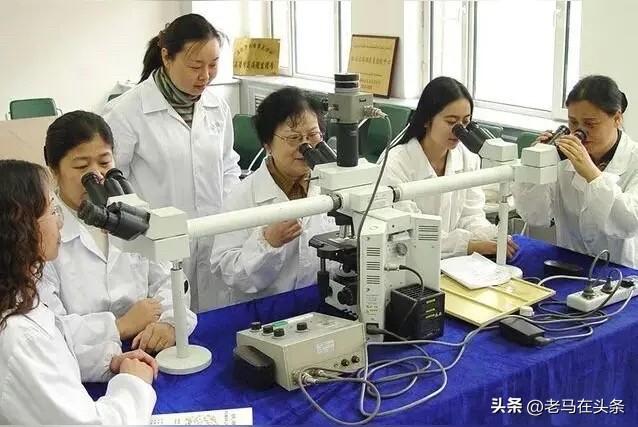 退休后若有余力，我觉得工作是个不错的选择。就像老周，为帮儿子还房贷，62岁还在物