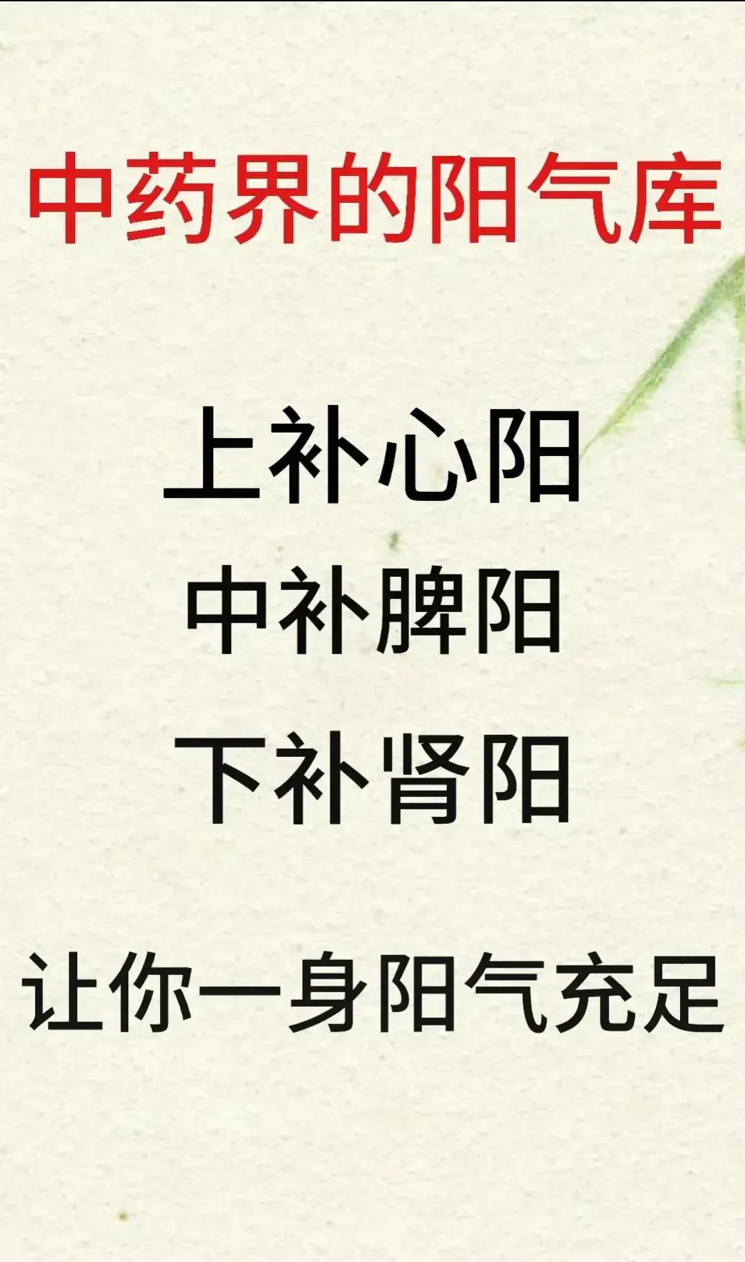 肉桂，被誉为阳气的宝库，在中药世界里有着独特的地位。今天，我们来聊聊如何巧妙搭配