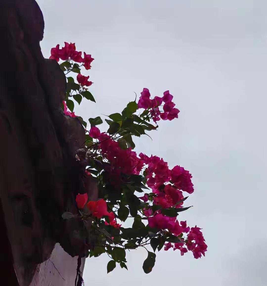 人生最大的幸福，莫过于在对的时间遇到对的人，共同携手走过风雨人生，彼此扶持、相伴