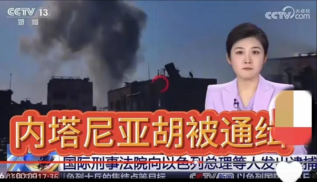 继鹅罗斯总统普鲸被海牙国际法院通缉之后，日前，该国际法院又向以色列总理内塔尼亚胡
