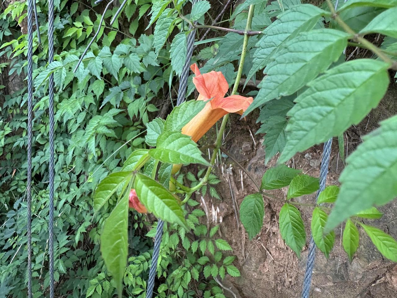 埃安UT这个车文我写了10篇，佩服自己的恒心！真的很不容易！
同时佩服写得更多篇