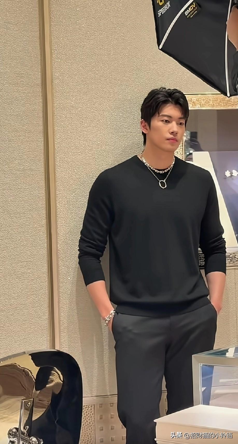 汪顺，192身高，体育生，博士生毕业，奥运会冠军，世锦赛冠军，亚运会冠军，全运会