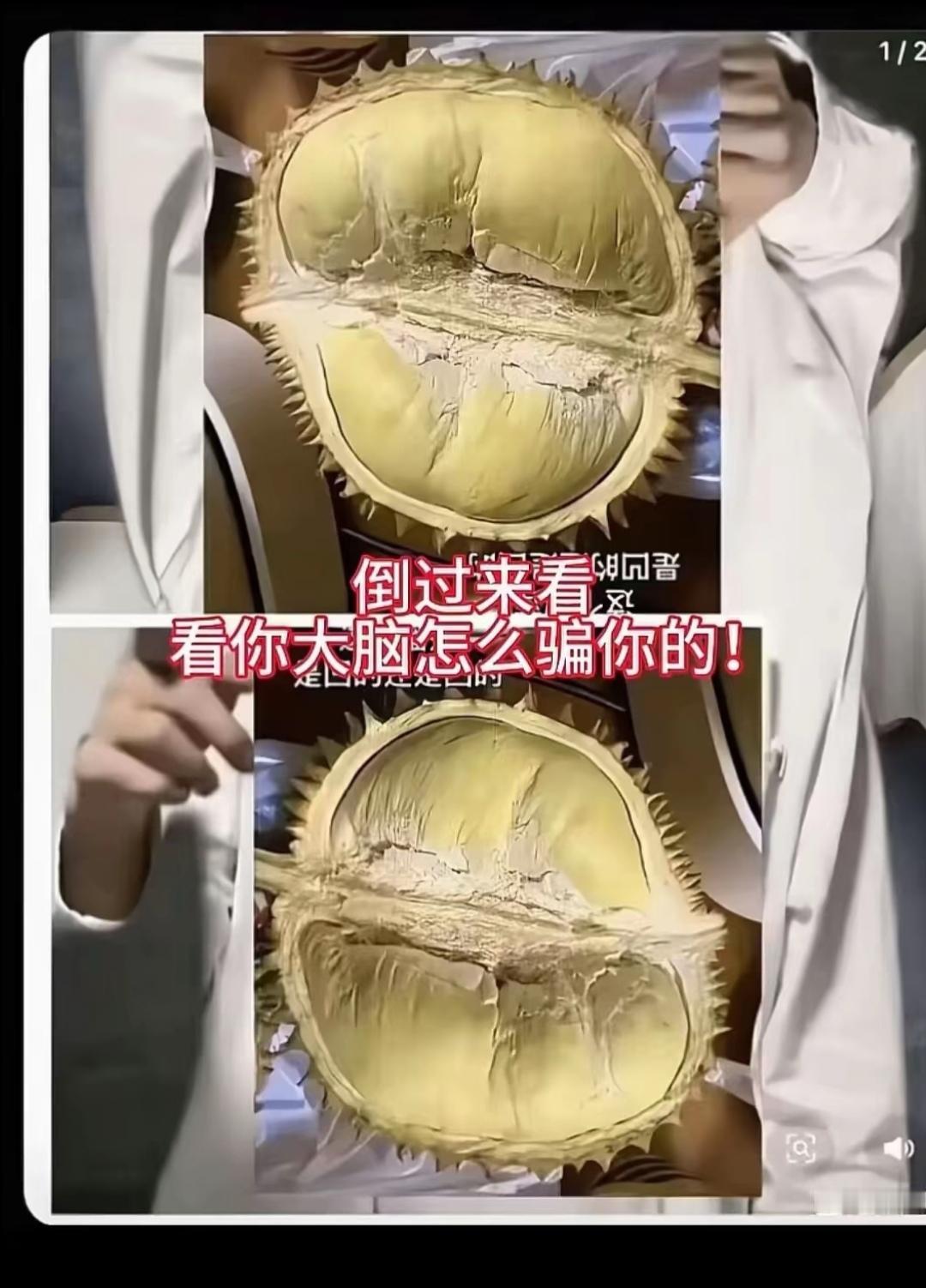 凡所有相皆是虚妄。不要被你的大脑骗了。