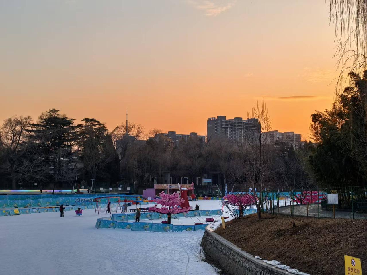 除了房价，北京的物价真的不贵。

傍晚在紫竹院去逛了一会儿，虽然天有点冷了，公园