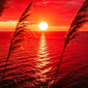 清汛夜谈科技