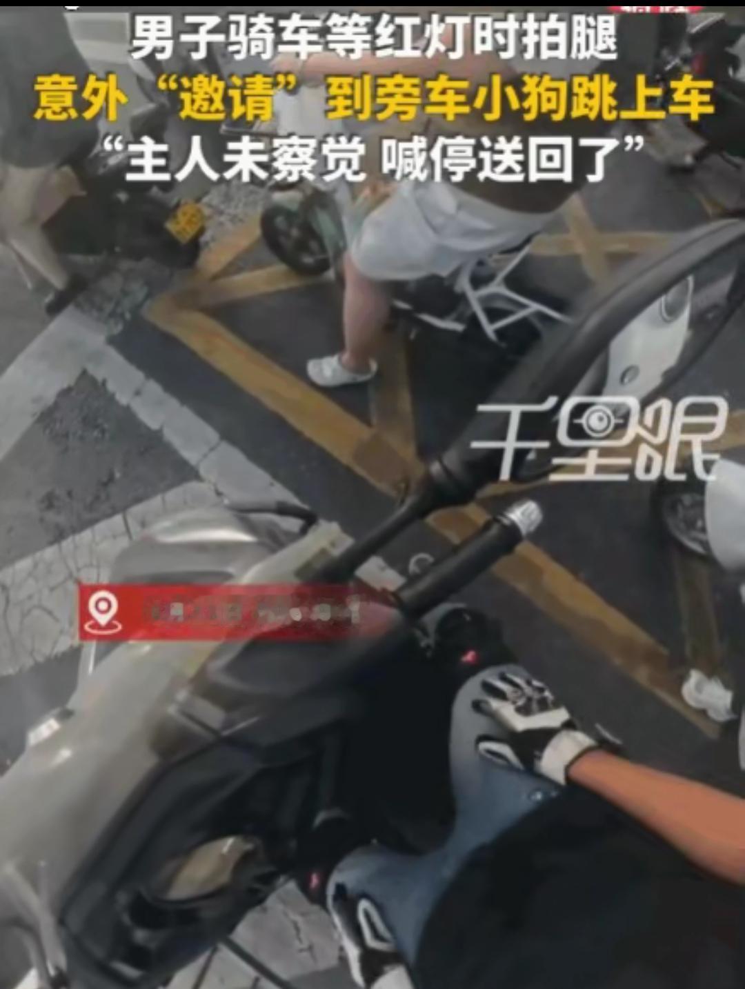 河南，一男子骑车等红灯，因天气炎热，他下意识地拍了拍大腿。没曾想，这个无心的动作