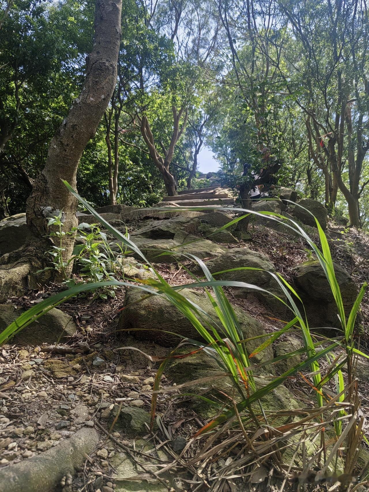 那天，陌生大哥的一句话，让我心里不禁暗爽了一把。
     傍晚去爬山，路上碰到