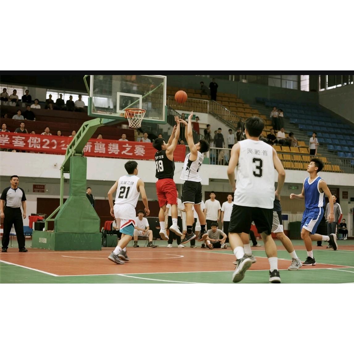 四川男篮这波又整幺蛾子了！
队里那俩外援因为薪水没按时到账，
干脆就没去球场上，