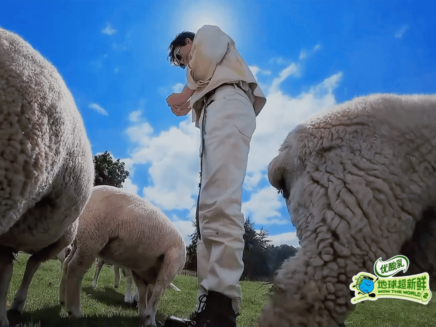 刘宇宁开始推理吧  | 刘宇宁地球超新鲜   | 摩登兄弟刘宇宁才华出众魅力无限