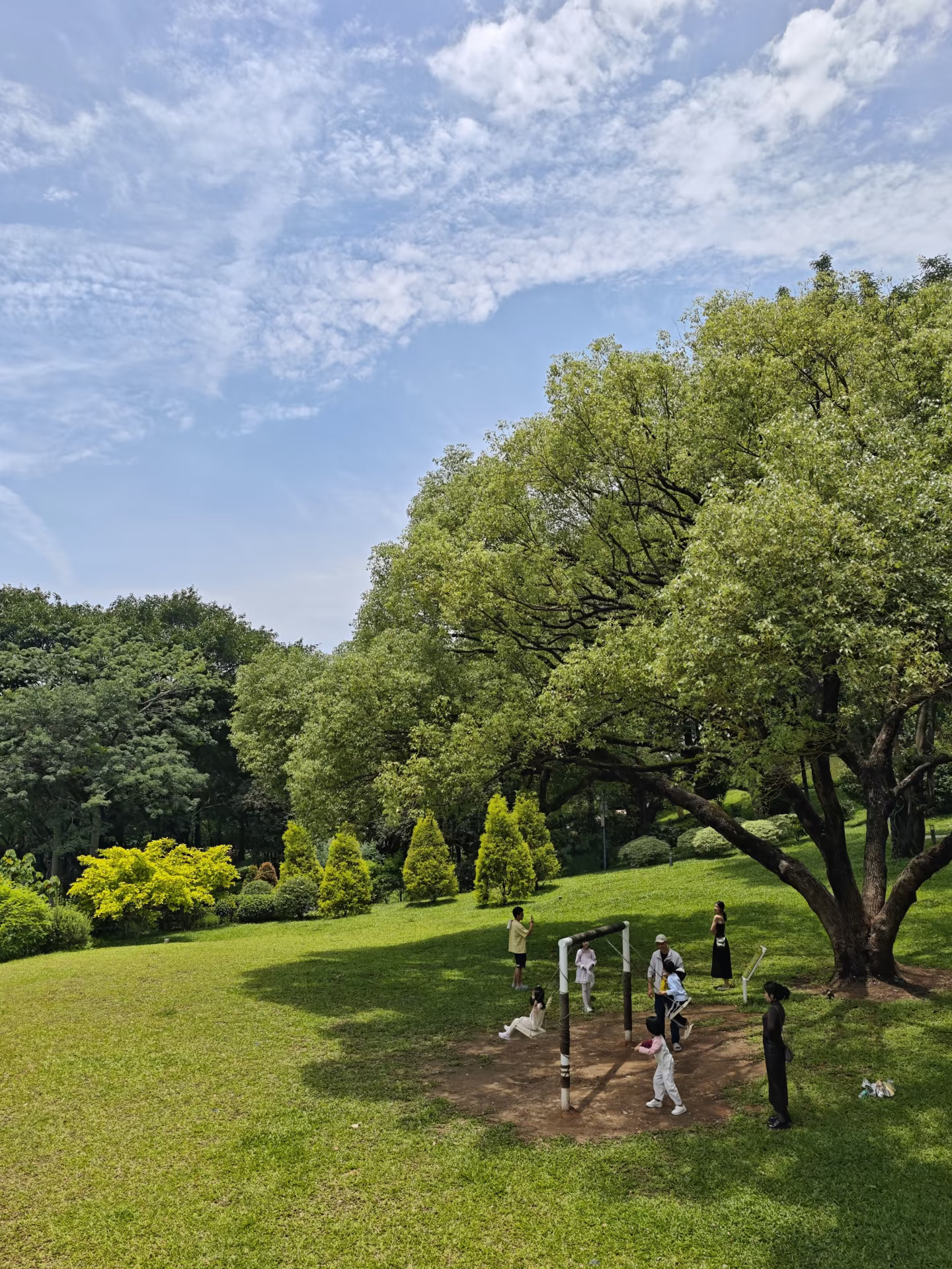 宫崎骏的夏天，治愈系的绿色！无滤镜版～