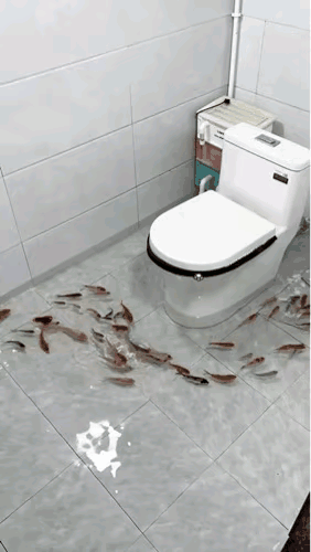 这是卫生间还是鱼池啊？