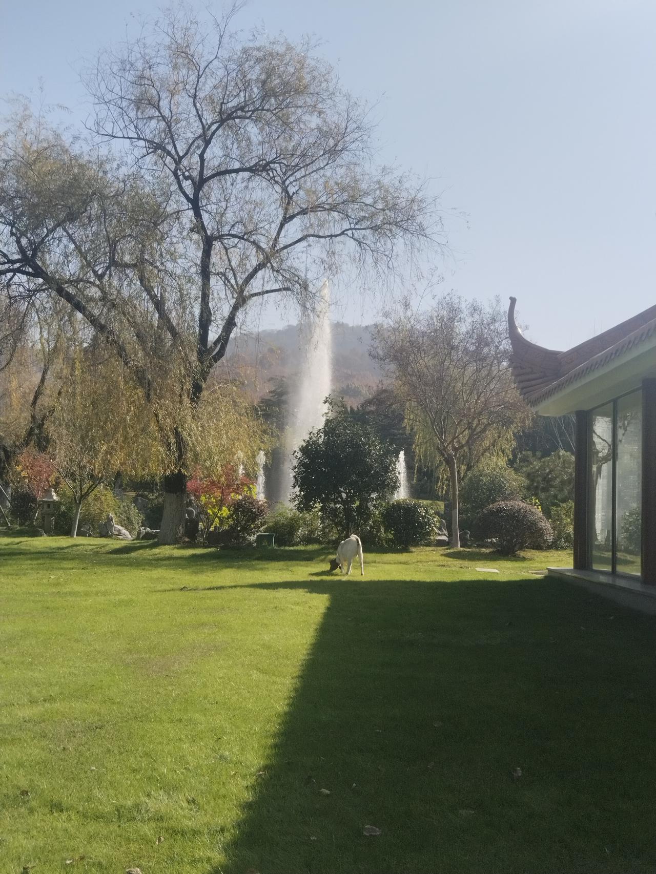 我新发布的内容被官方推荐啦！👍你也快来发布一条吧！带记录真实生活话题，更容易被