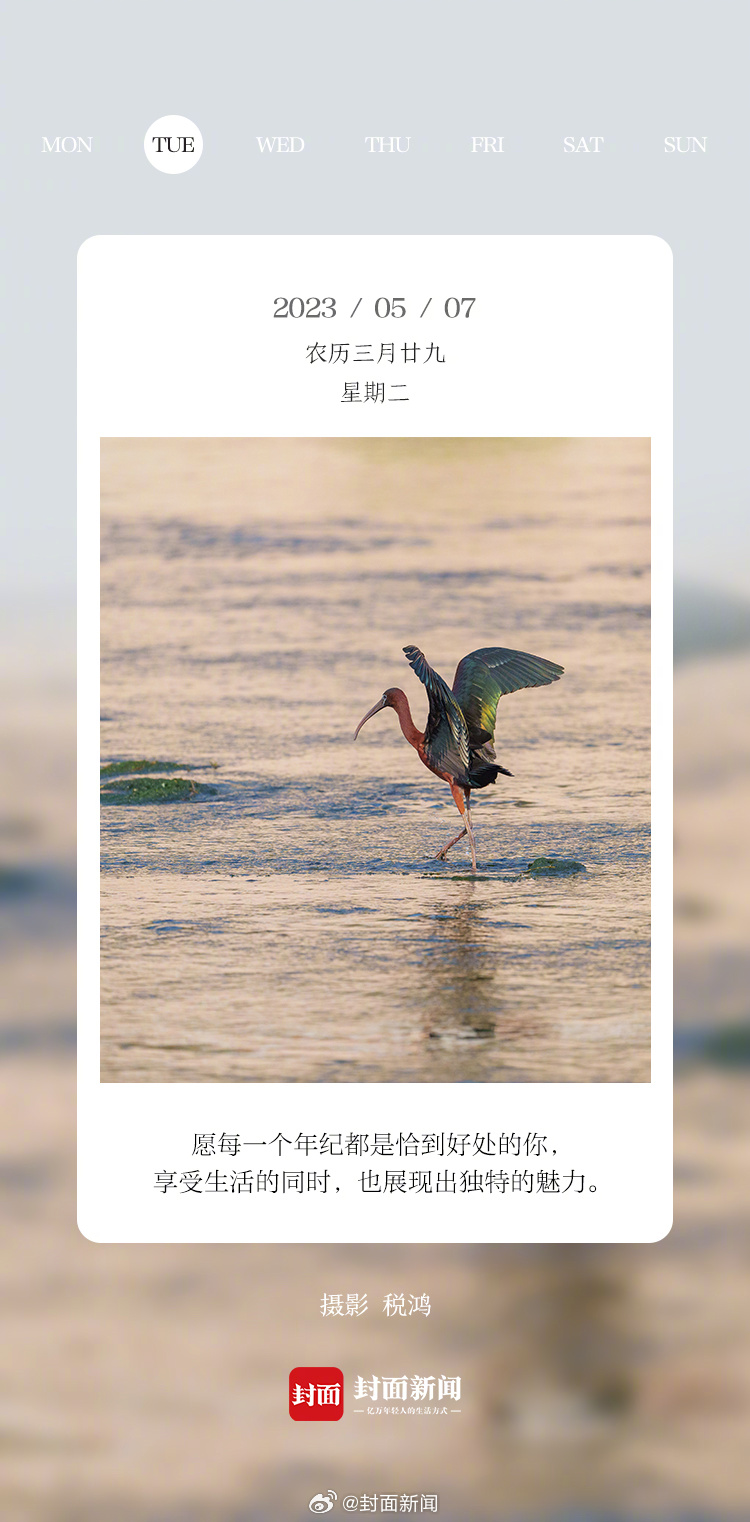 #小封日历#早安，周二啦！今天叫醒你的是_____？[送花花] ​​​