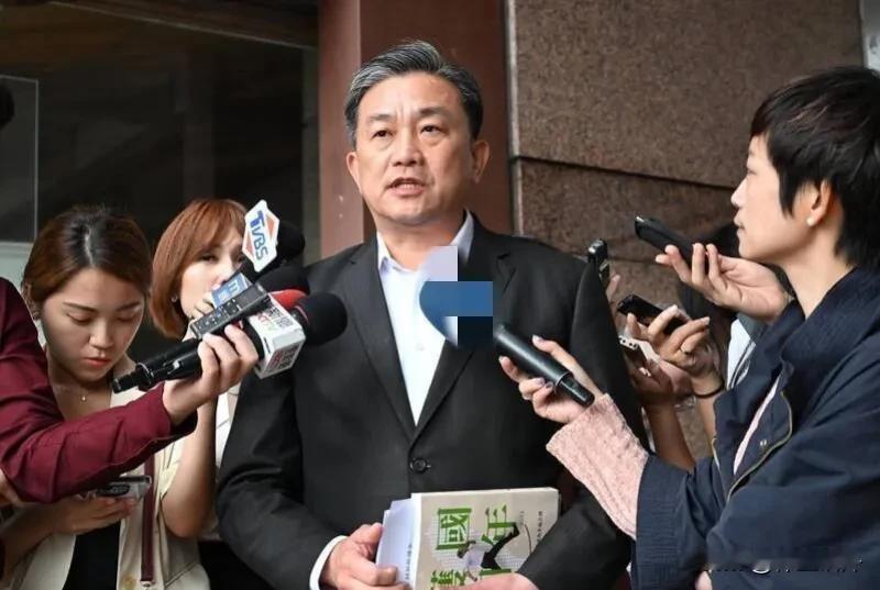这个激进“台独”分子，竟然说没有好的处理办法

民进党的王定宇称，对岸无人机飞到