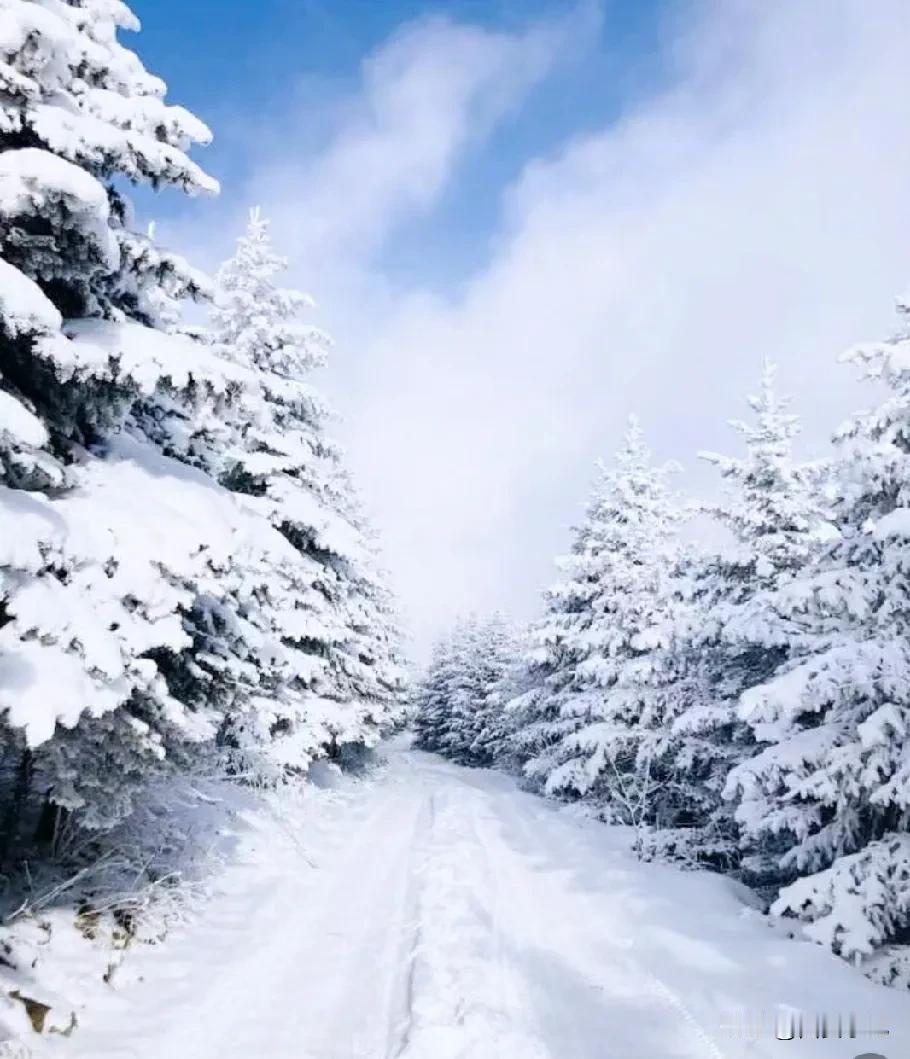 西安降雪即将到来!

这几天大伙说最多的就是天气了吧？天气也是春节回家，出去旅游