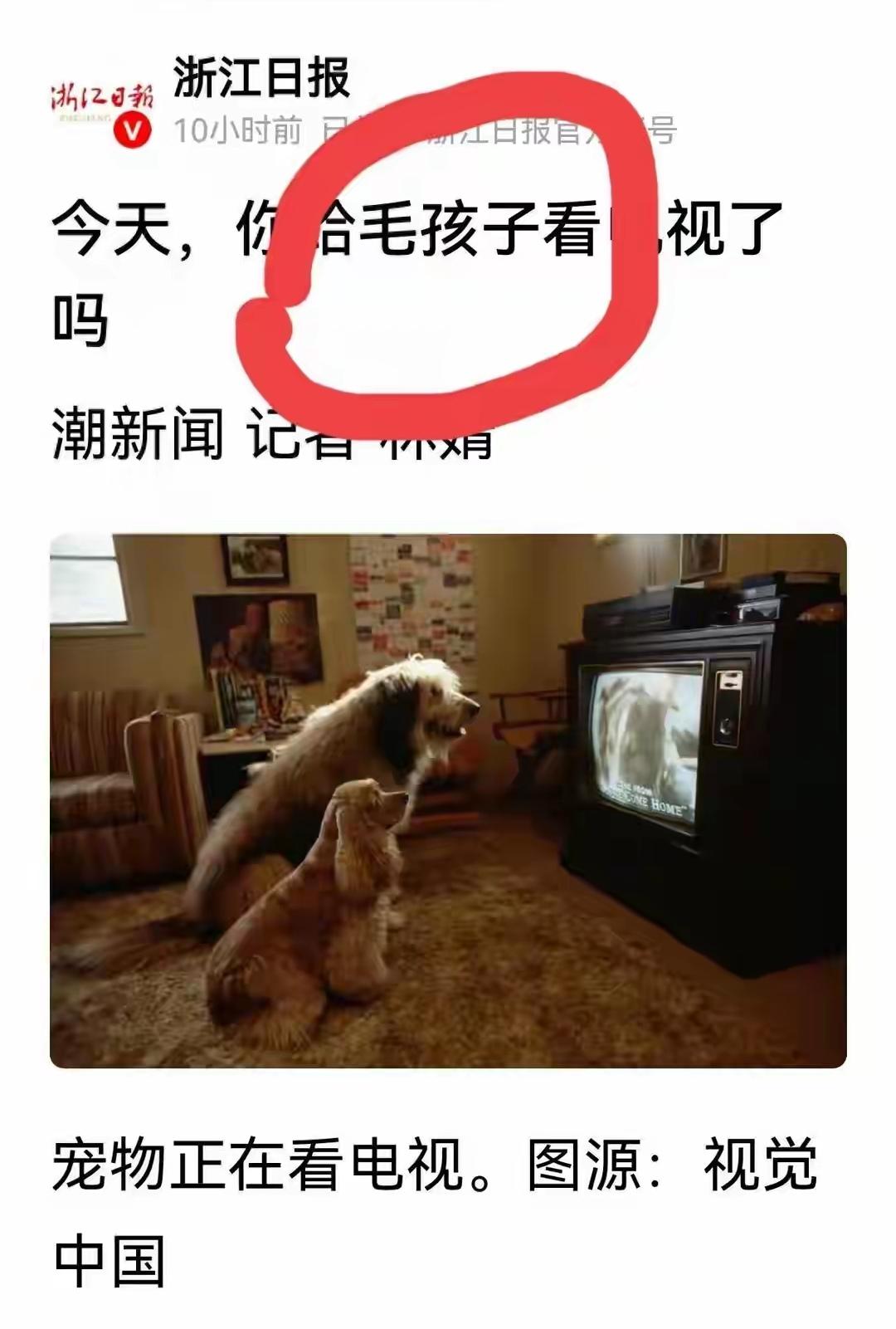 我们的媒体在干什么？
即使带引号也是赞同！官媒应坚守人类尊严的底线，不可人云亦云