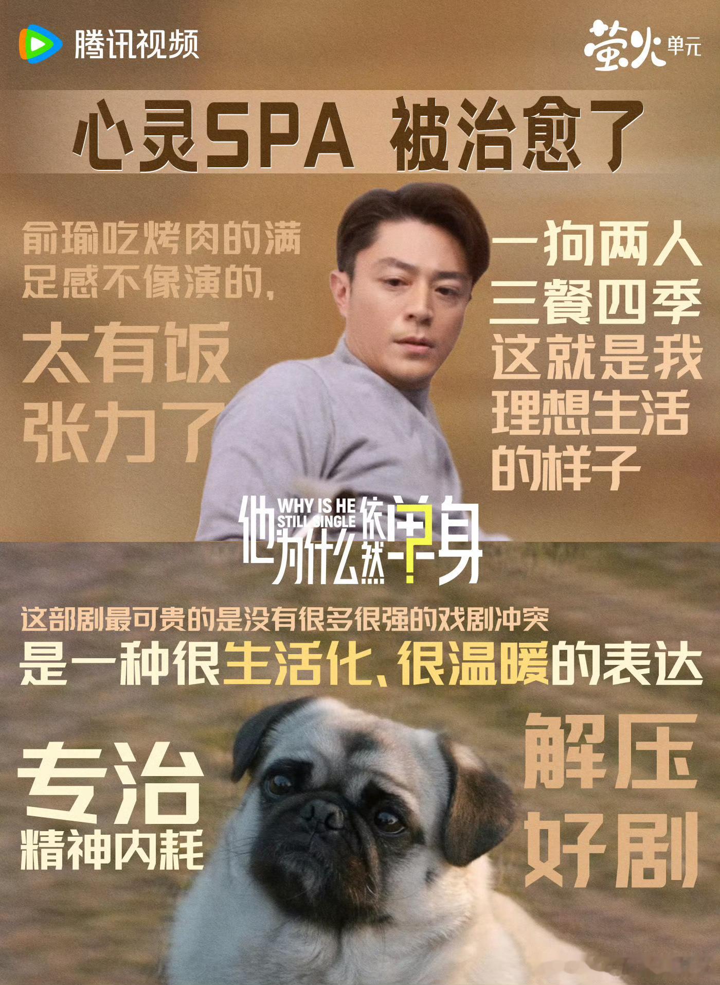 霍建华  来自霍迷的情书 hjh霍建华他为什么依然单身 今天朋友说她们公司副总，