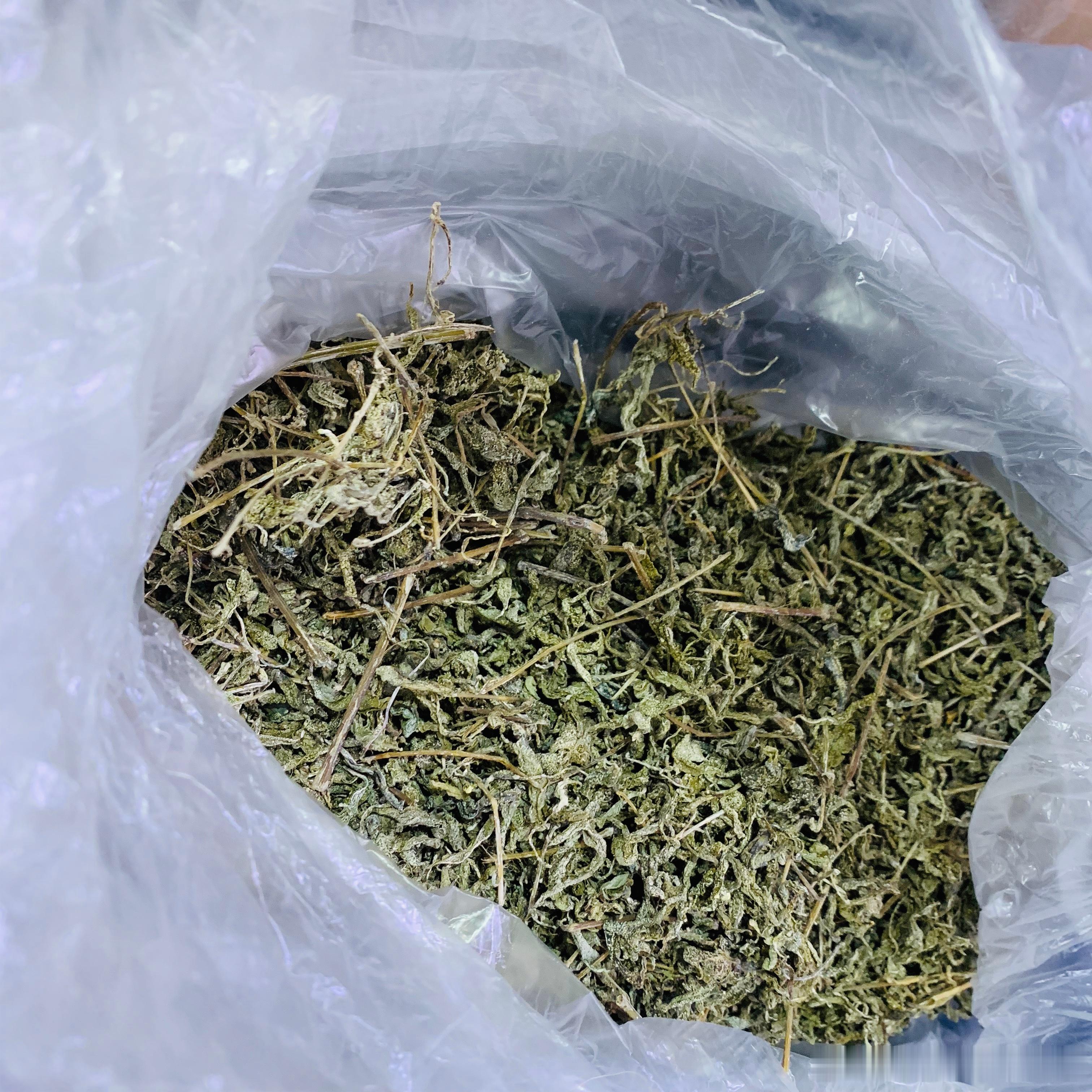 微雨公司的天台很喜欢和咖啡馆的同事聊花箱冬天我来种郁金公司的阿姨送我她自己做的野