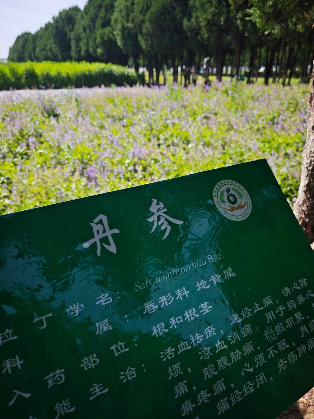 万千气象看陇原 今天最后一站走进中国的“药王谷”，位于定西市的陇西药圃园。这里是