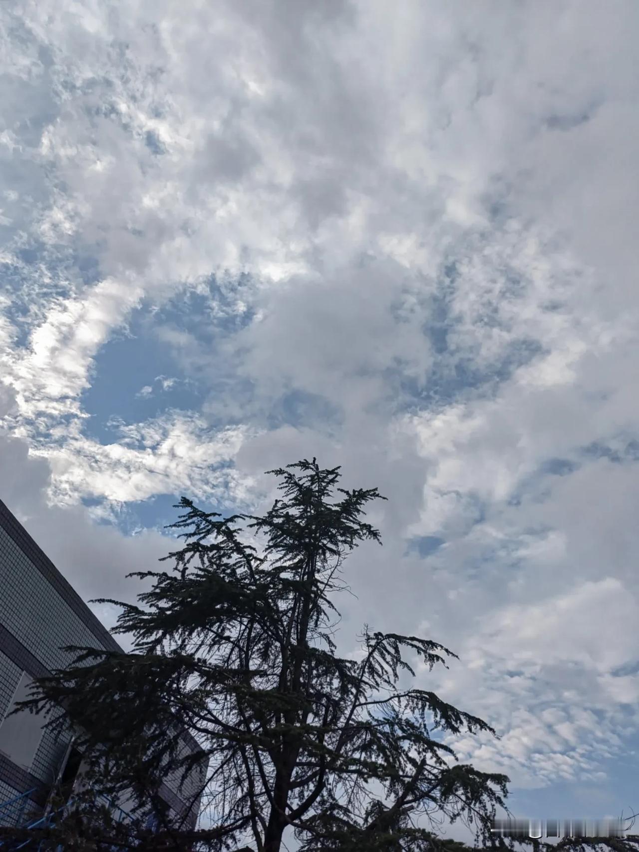 云卷云舒，静看时光流转。蓝天白云下的静谧时光，感受大自然的宁静与美好。