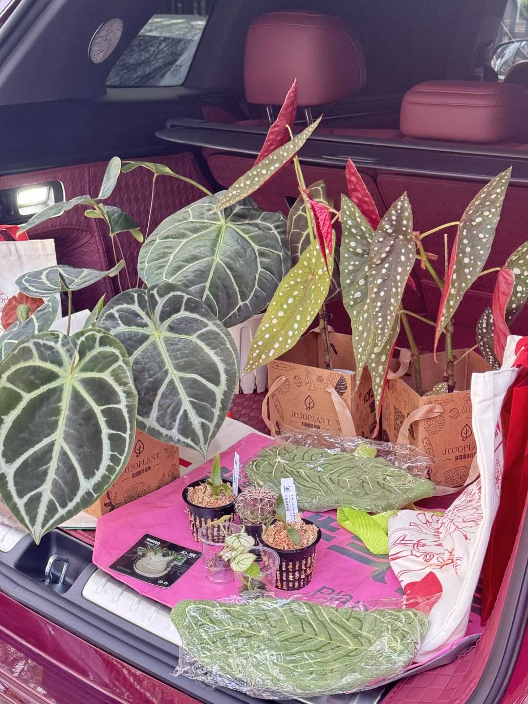 2026北京热植展羊毛梳理！