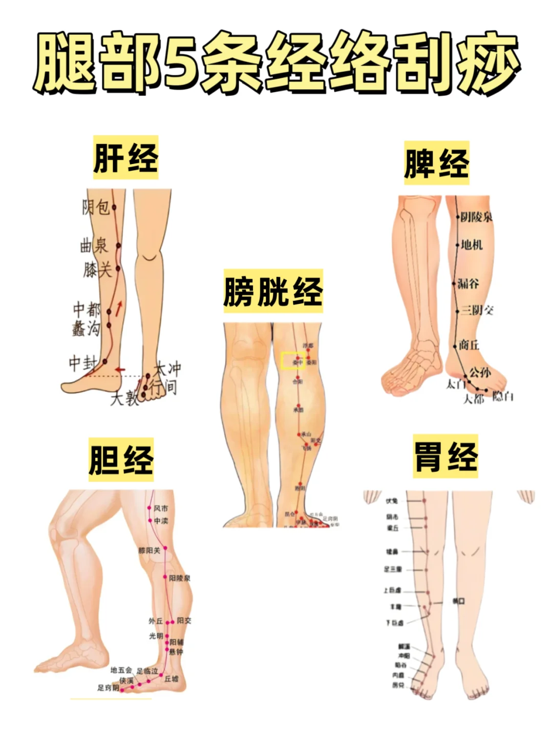 必学！腿部 5 条经络刮痧方法✅