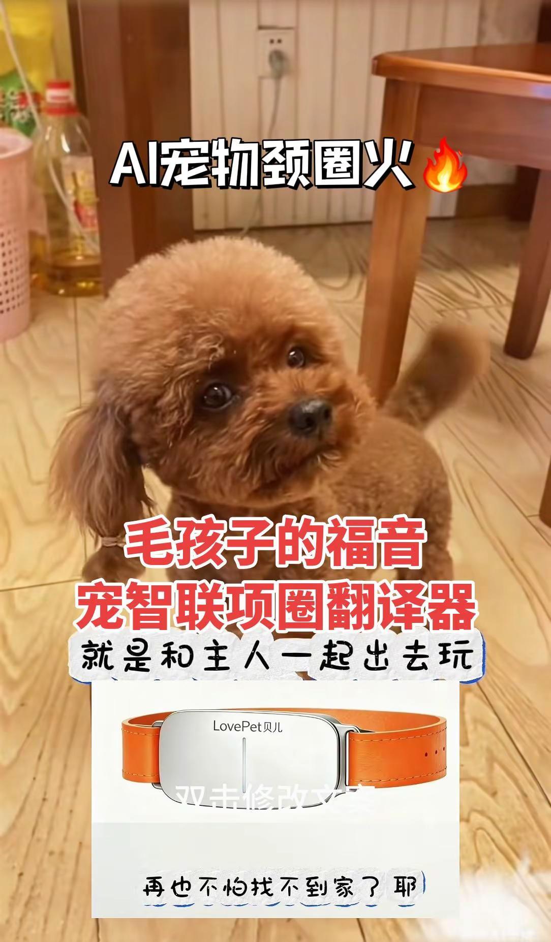 热点话题 AI宠物项圈火🔥全球毛孩子的福音宠智联项圈翻译器萌宠赛道开启