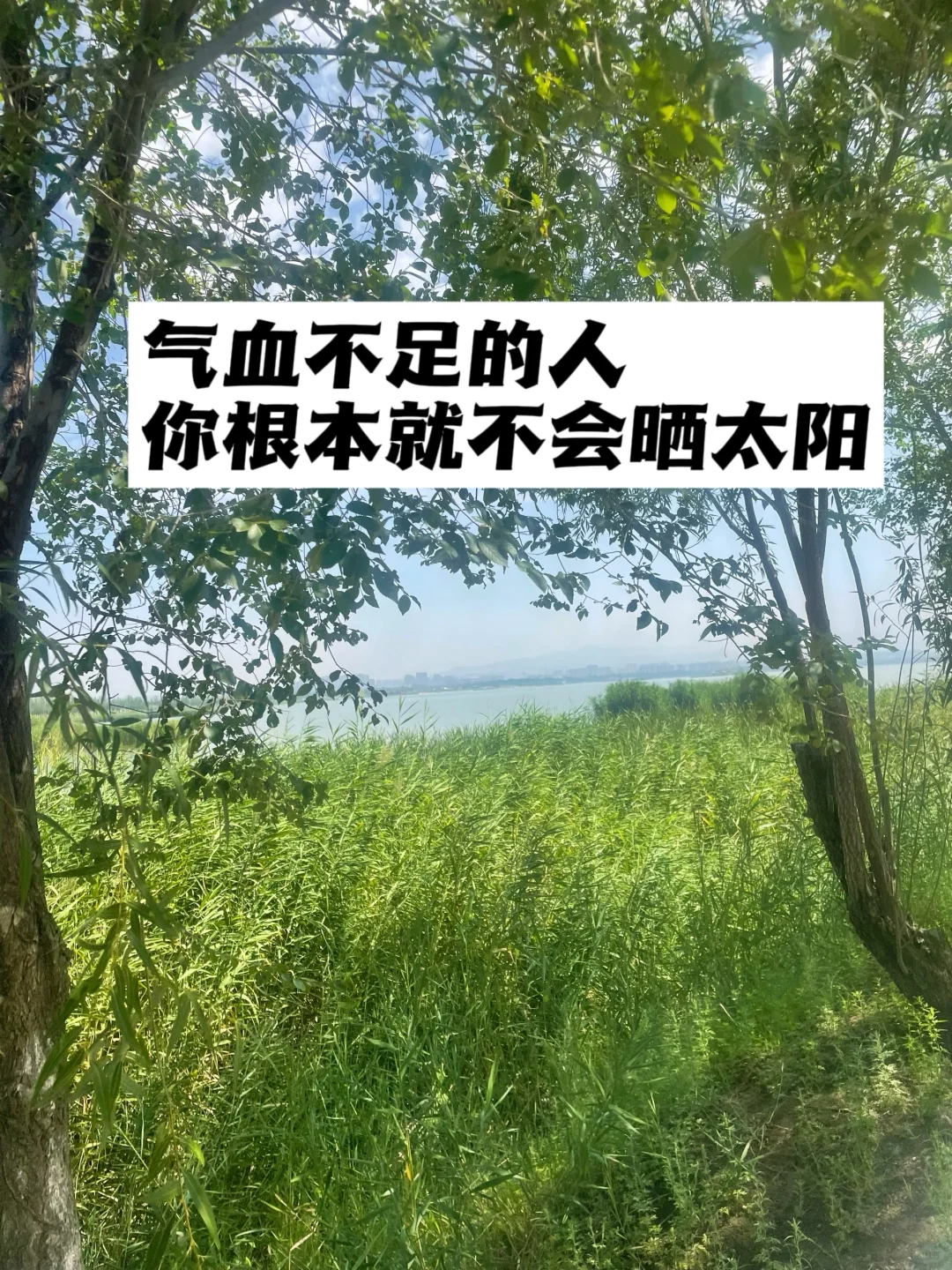 气血不足的人，你根本就不会晒太阳.