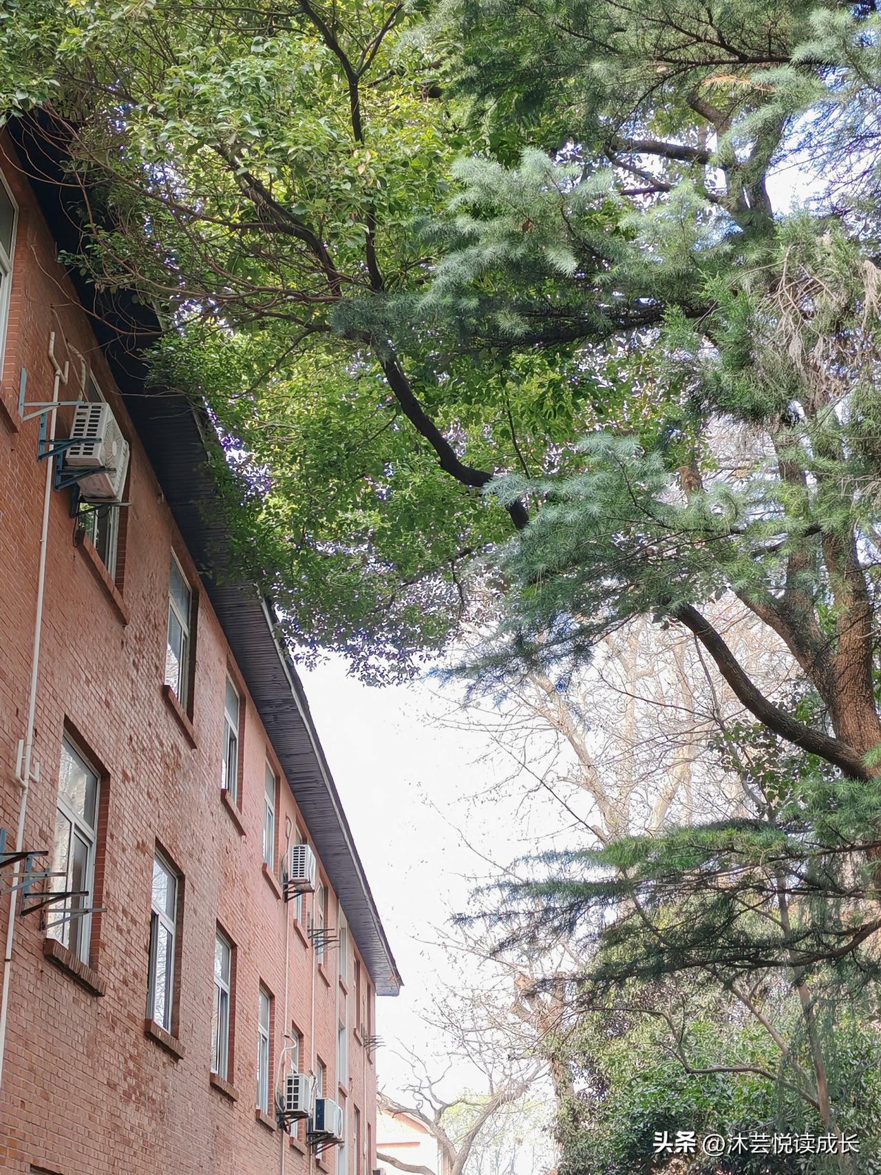 你敢信吗？
退休了靠自己挣点零花钱，居然还被人议论得“抬不起头”？
 
朋友就问