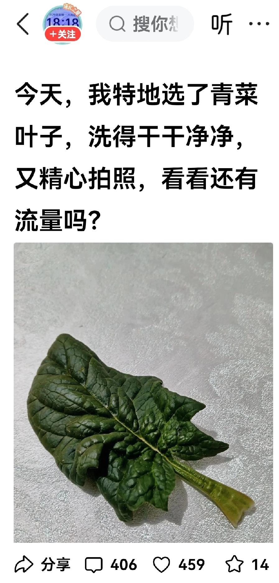 青菜叶子占据了头条的半壁江山，没想到他的“火”势正在曼延，大有气吞山河的气势。